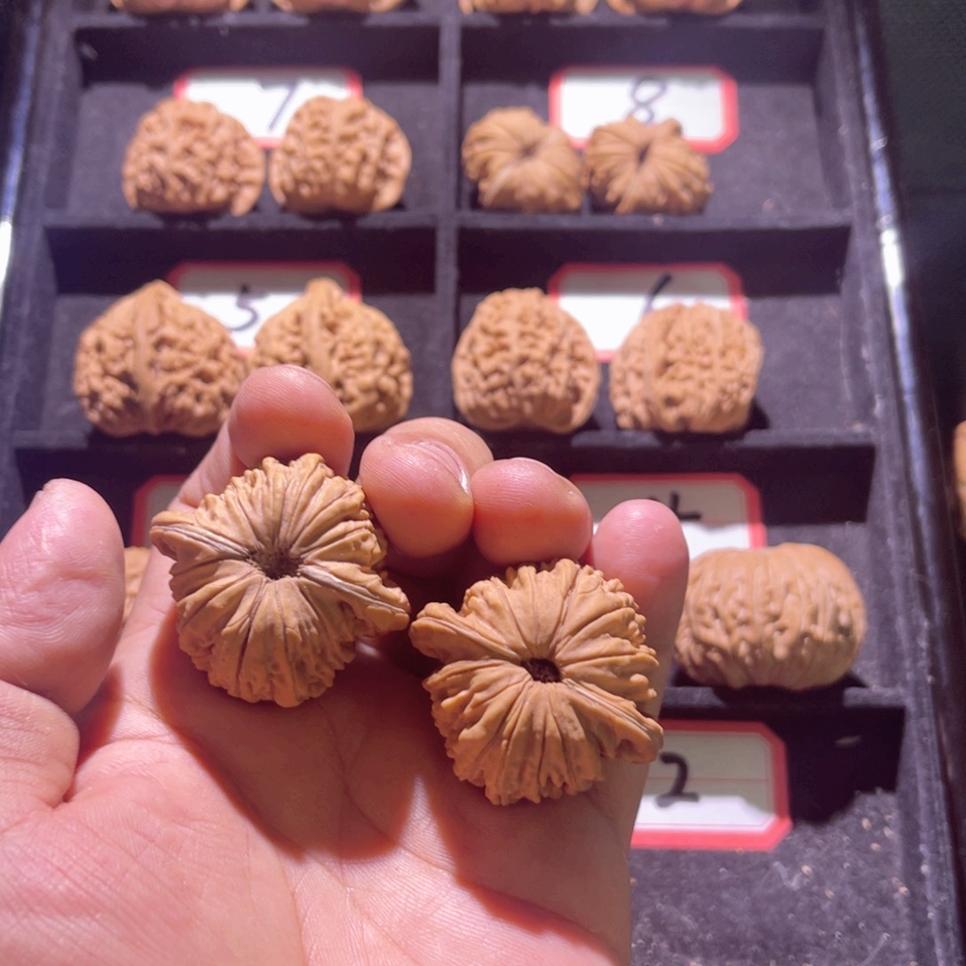 傅*生秦皇岛山地果全品