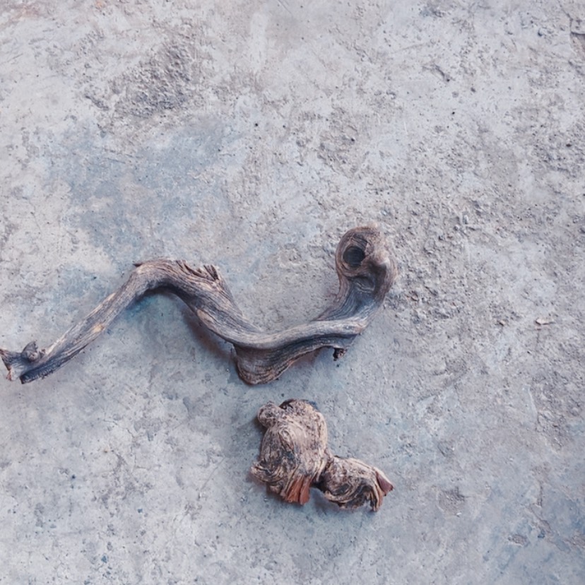 【闪购商品】柏木2****活太行天下第一