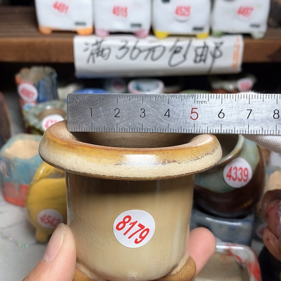 红陶拍5送一个小