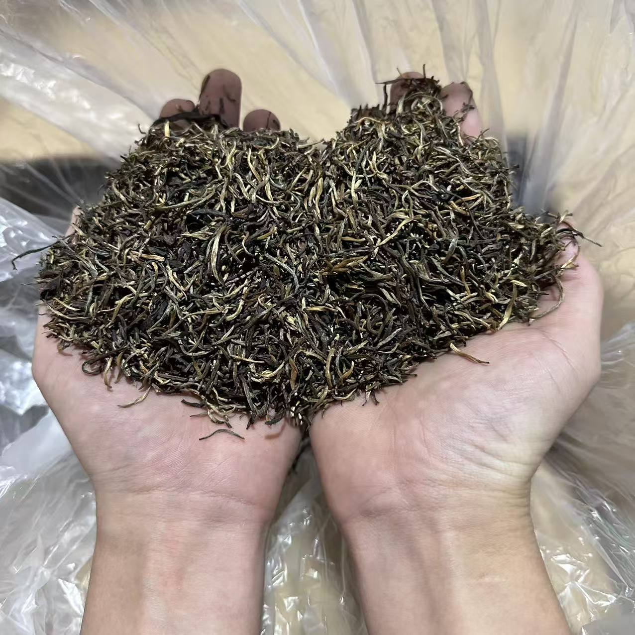 2006年兴海班章白菜芽头散料普洱生茶500g