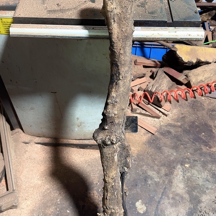 成***东非黑黄檀（紫光檀）2149