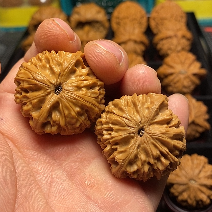 把件文玩核桃36尺龙眼