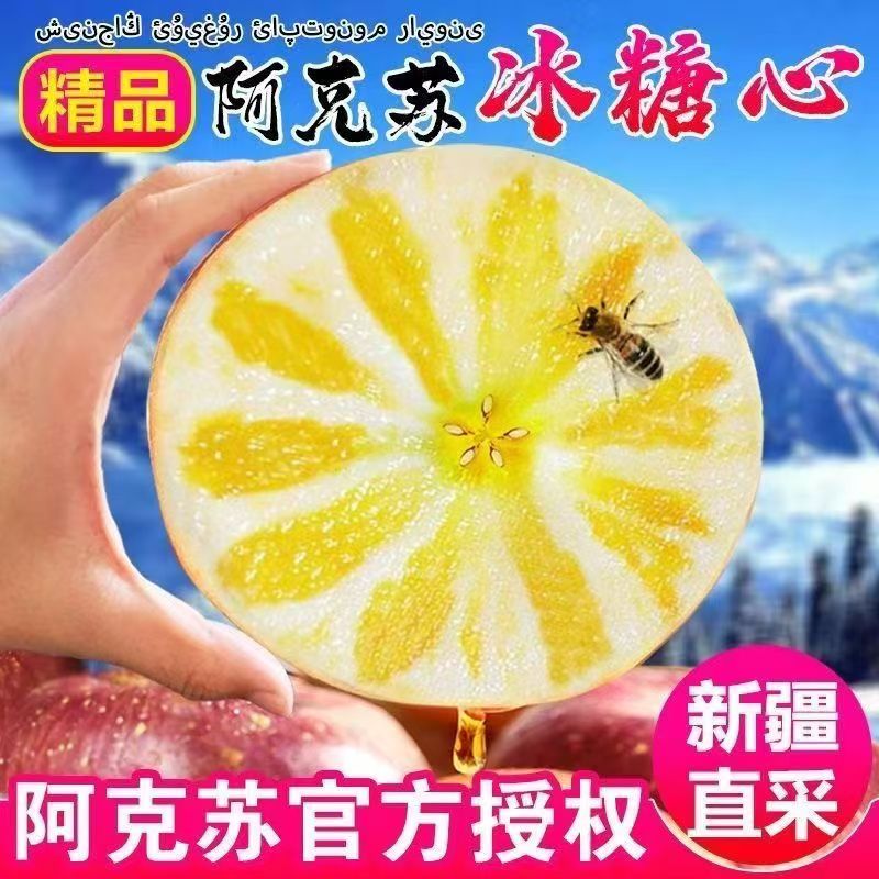 【低温地区专属】阿克苏红富士冰糖心甜苹果新疆产地直发脆甜多汁-3