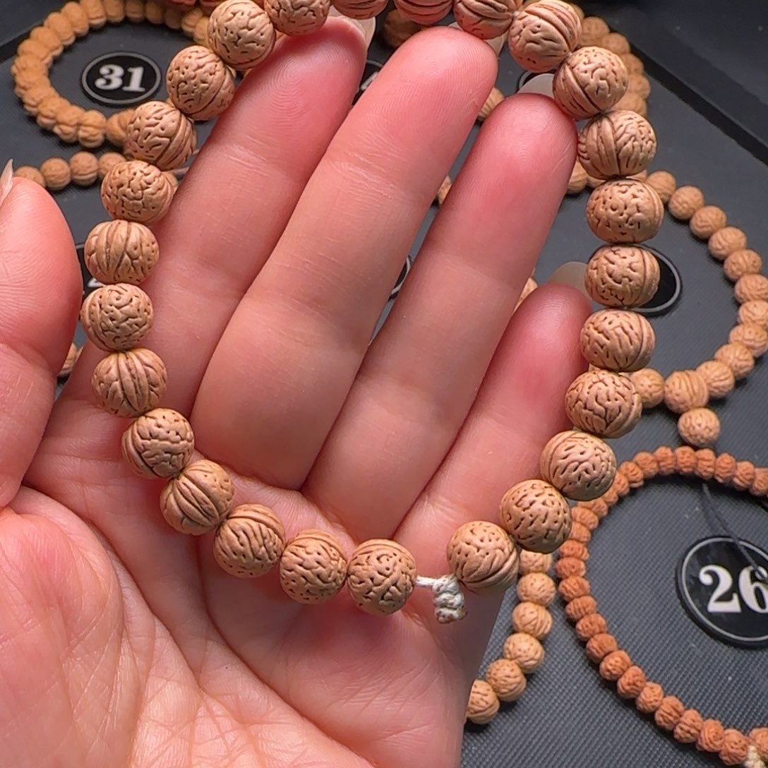 手串桃核矮桩肌肉脐