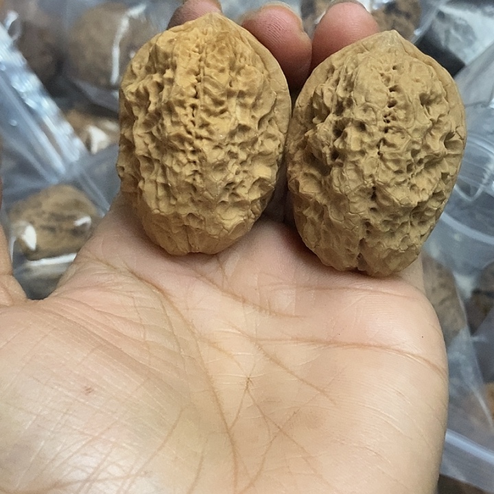 把件文玩核桃云南铁核桃基地35