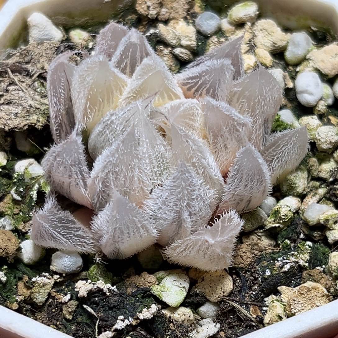 恭喜发财大吉大利0419