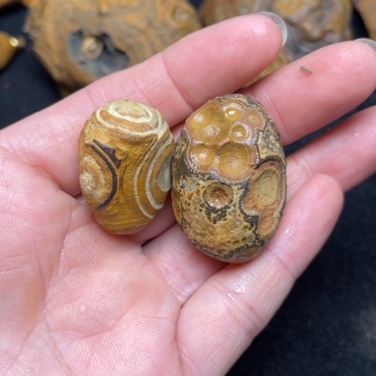 石材纯天然奇石原石158