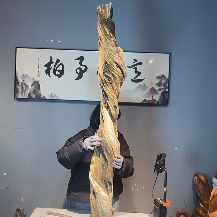 语***间香榧木大自然的秘密