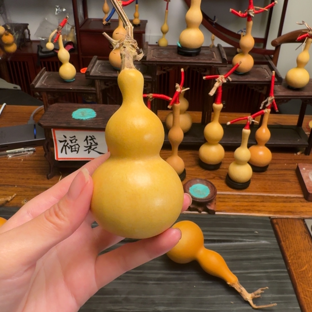 006葫芦葫芦葫芦葫芦