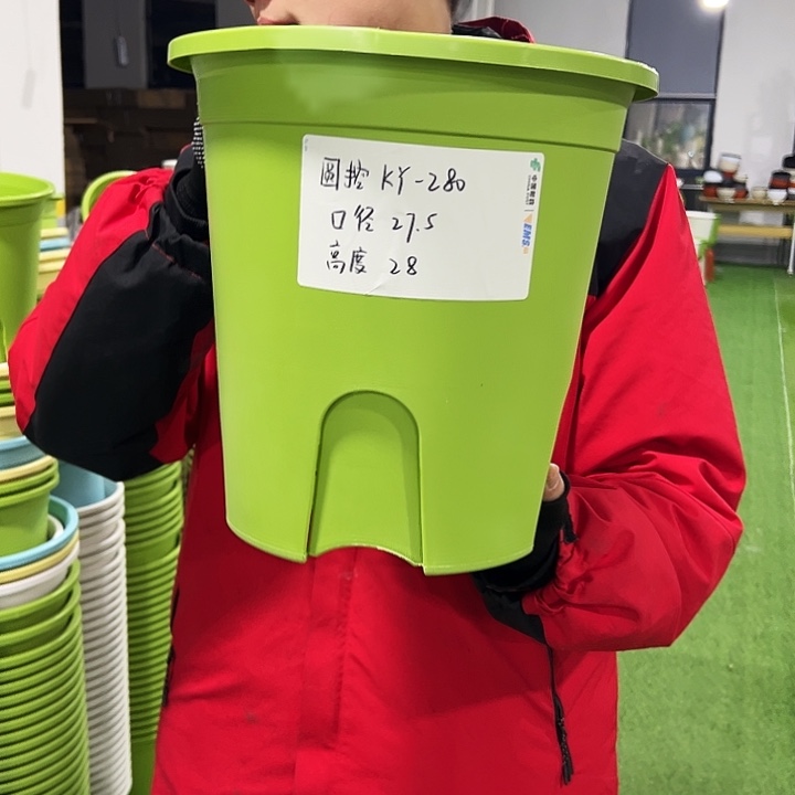 正品圆控口27.5高28果绿色5只无托