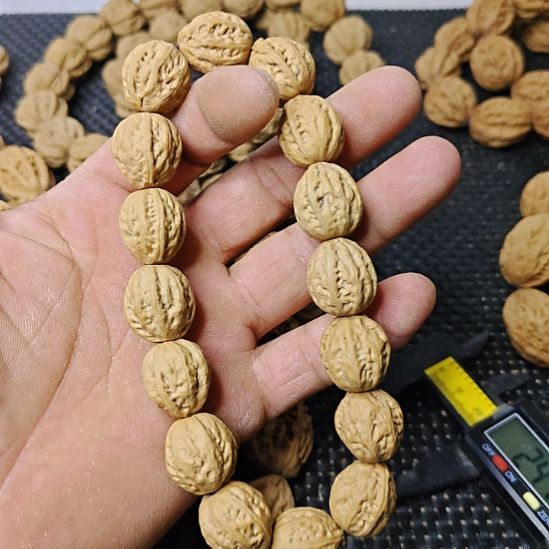 暖***阳木质类纯野生山核桃
