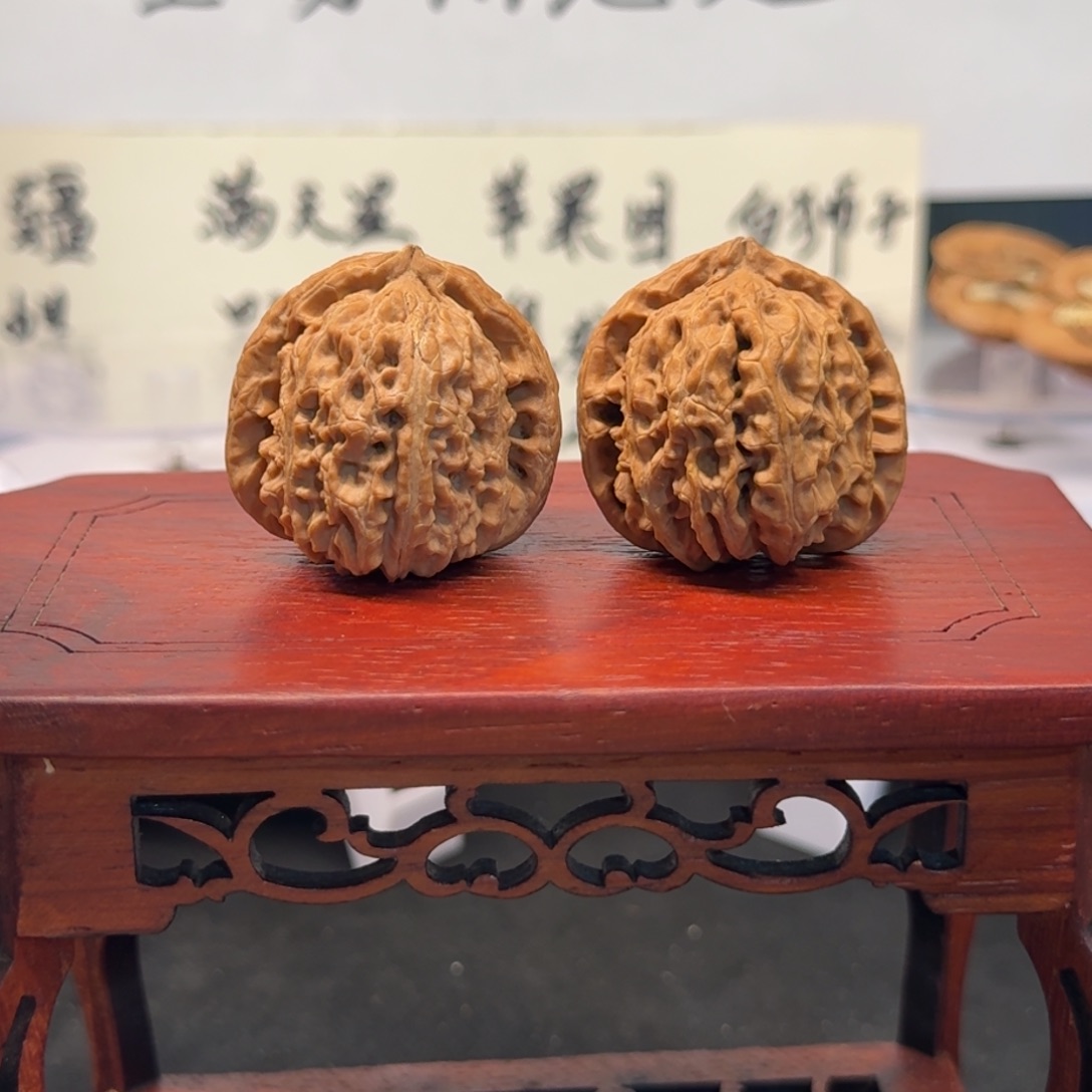把件文玩核桃48号白狮子边36肚35高33全品无药无修原生态