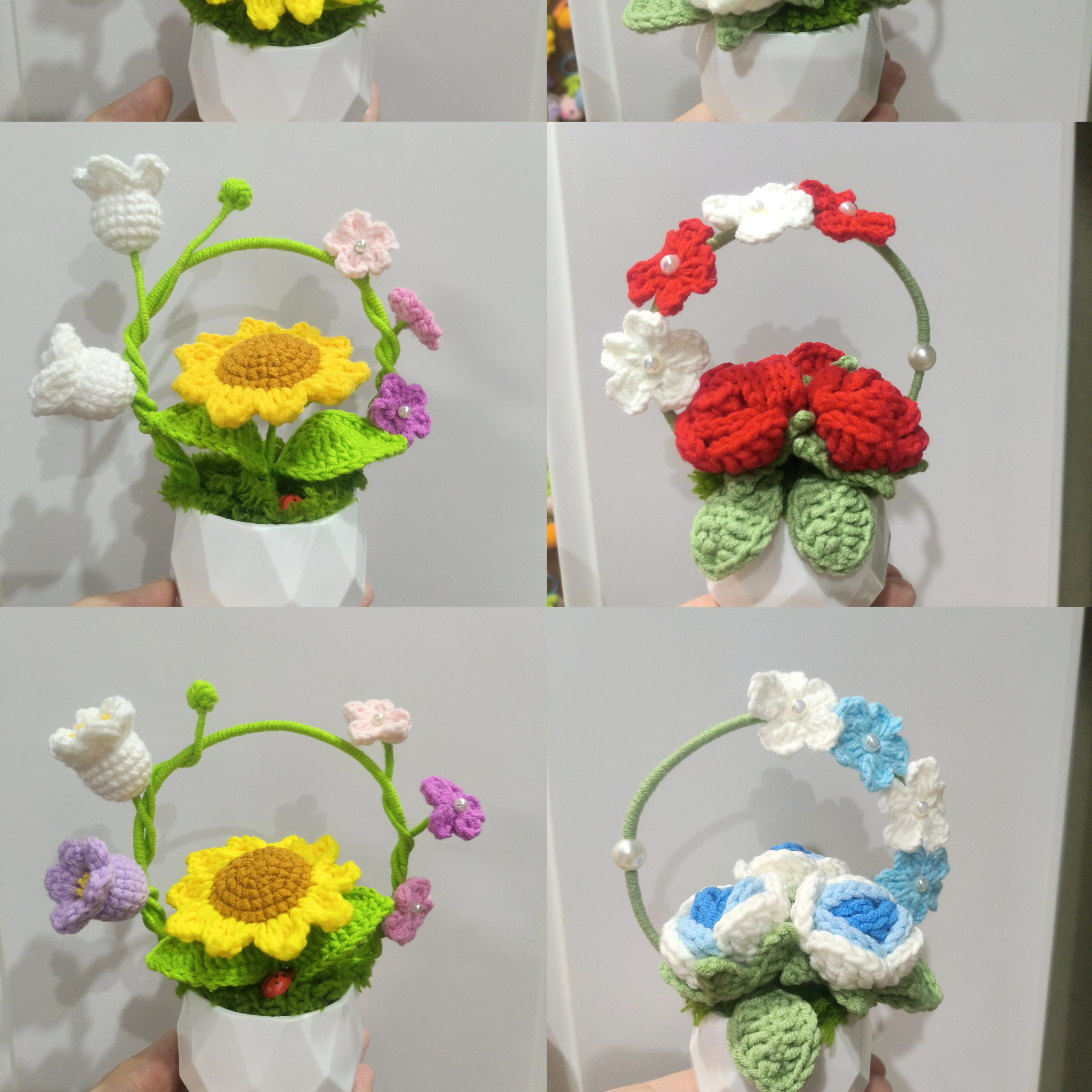 教师节盆栽（65三个）