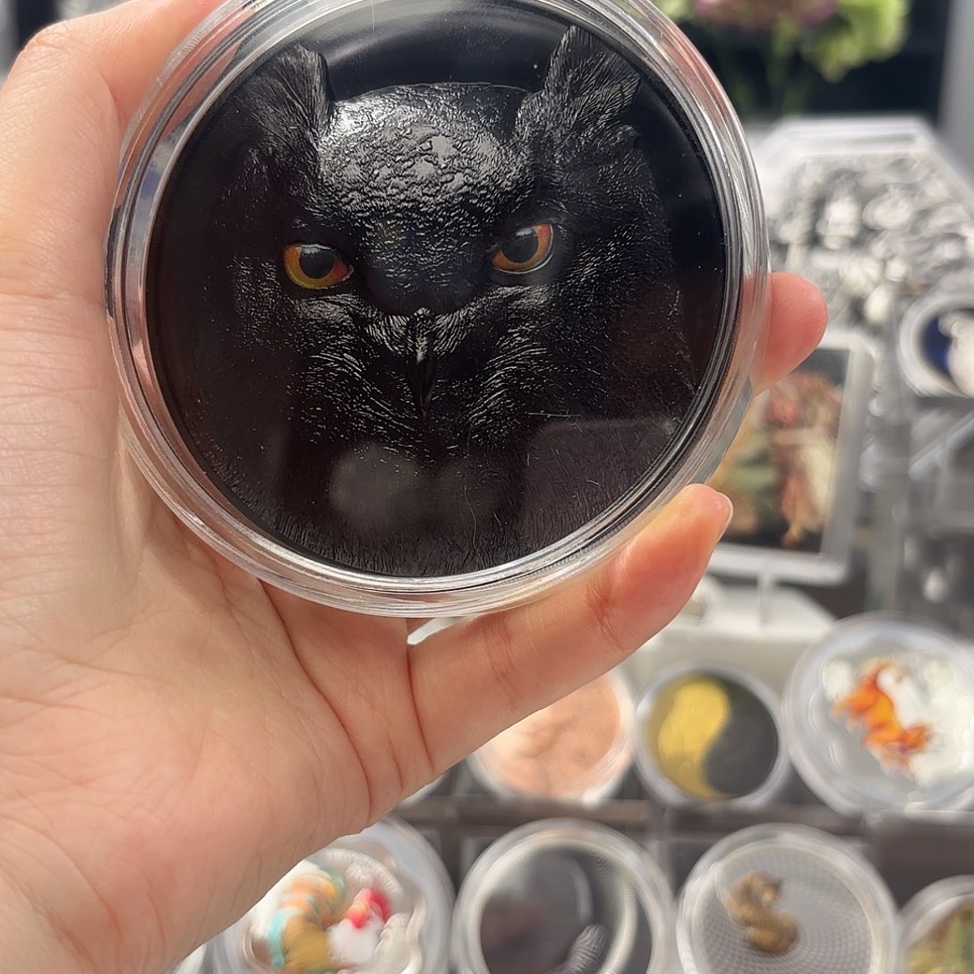 纯银大自然伪装之猫头鹰2023年palau