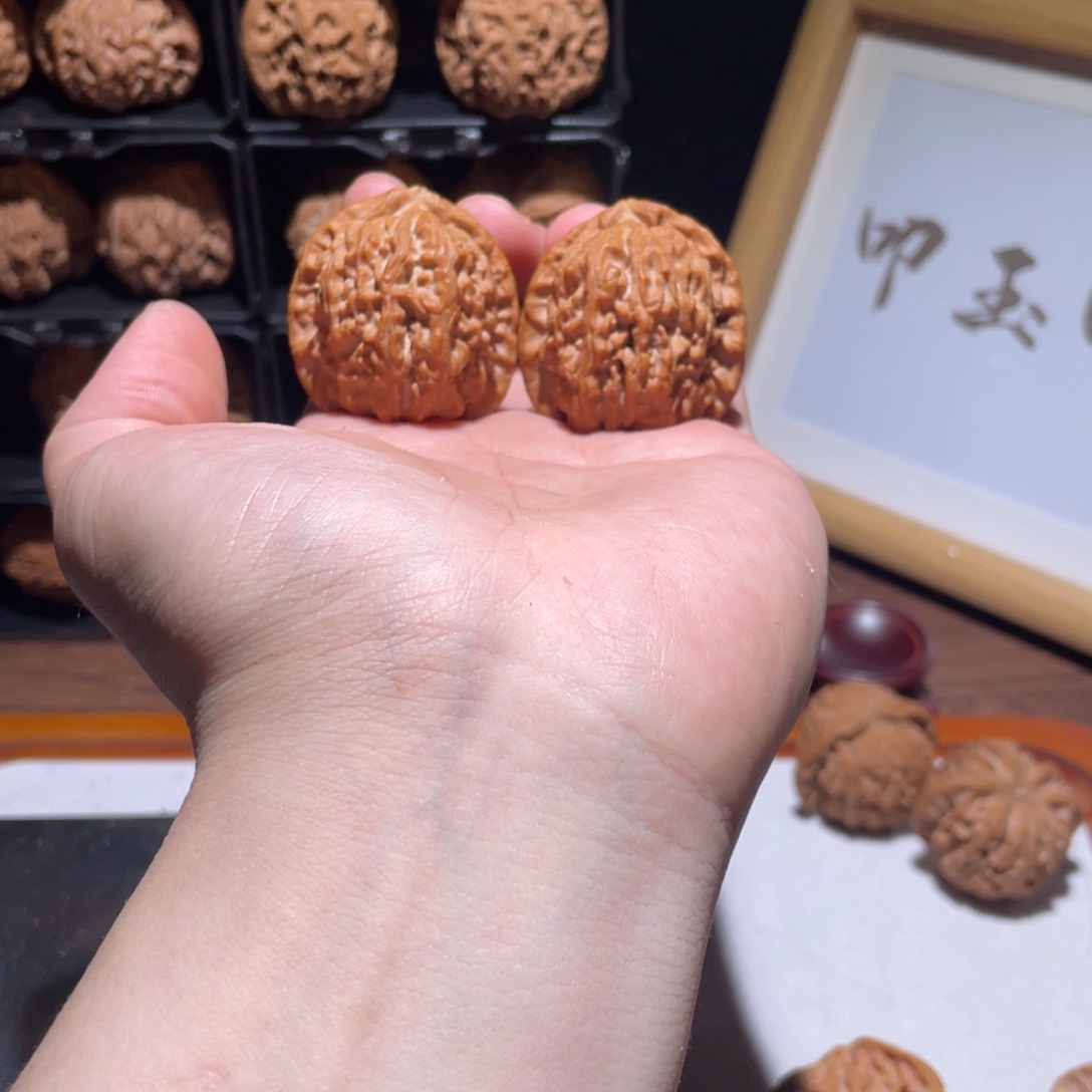 文玩核桃把件37全品白狮子