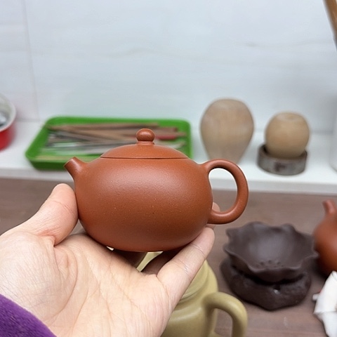 朱泥茶壶茶壶茶壶i**i