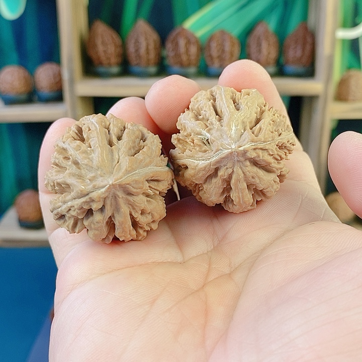 文玩核桃吊坠74鬼脸珊瑚