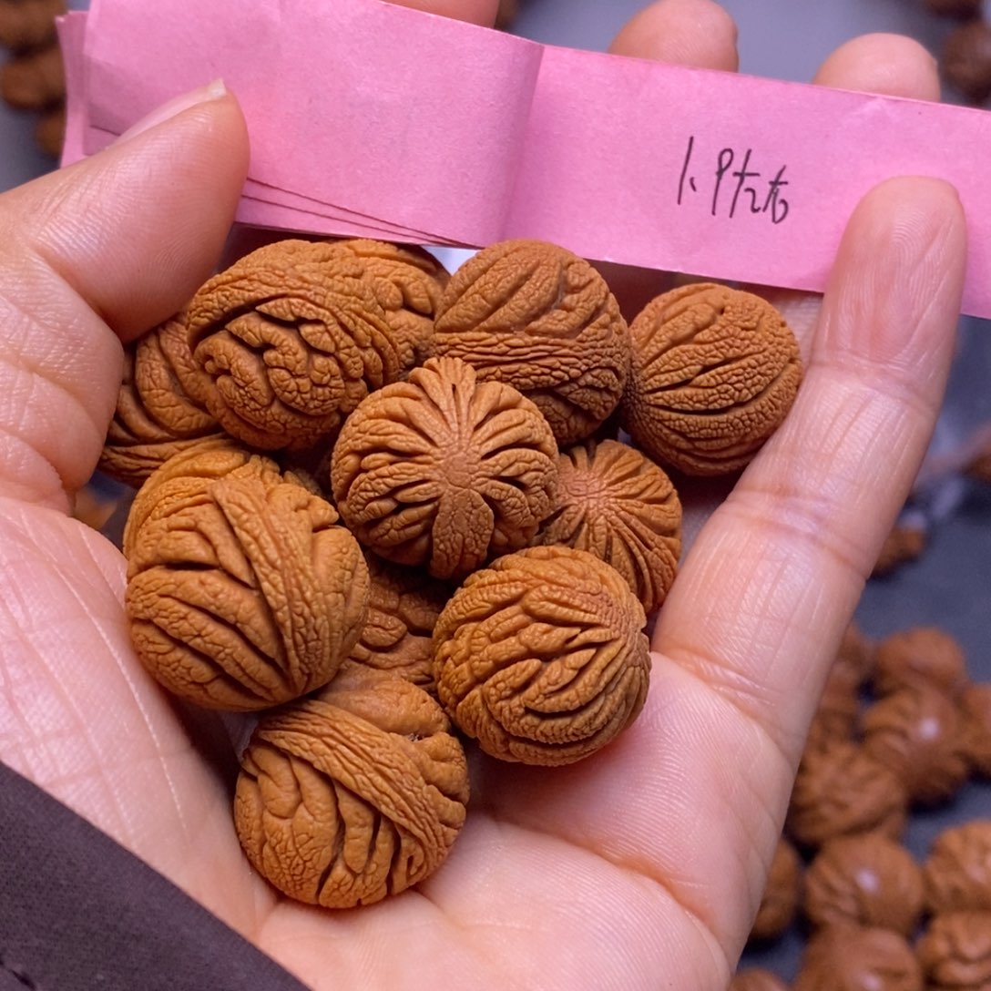 秦岭龙纹桃核14颗