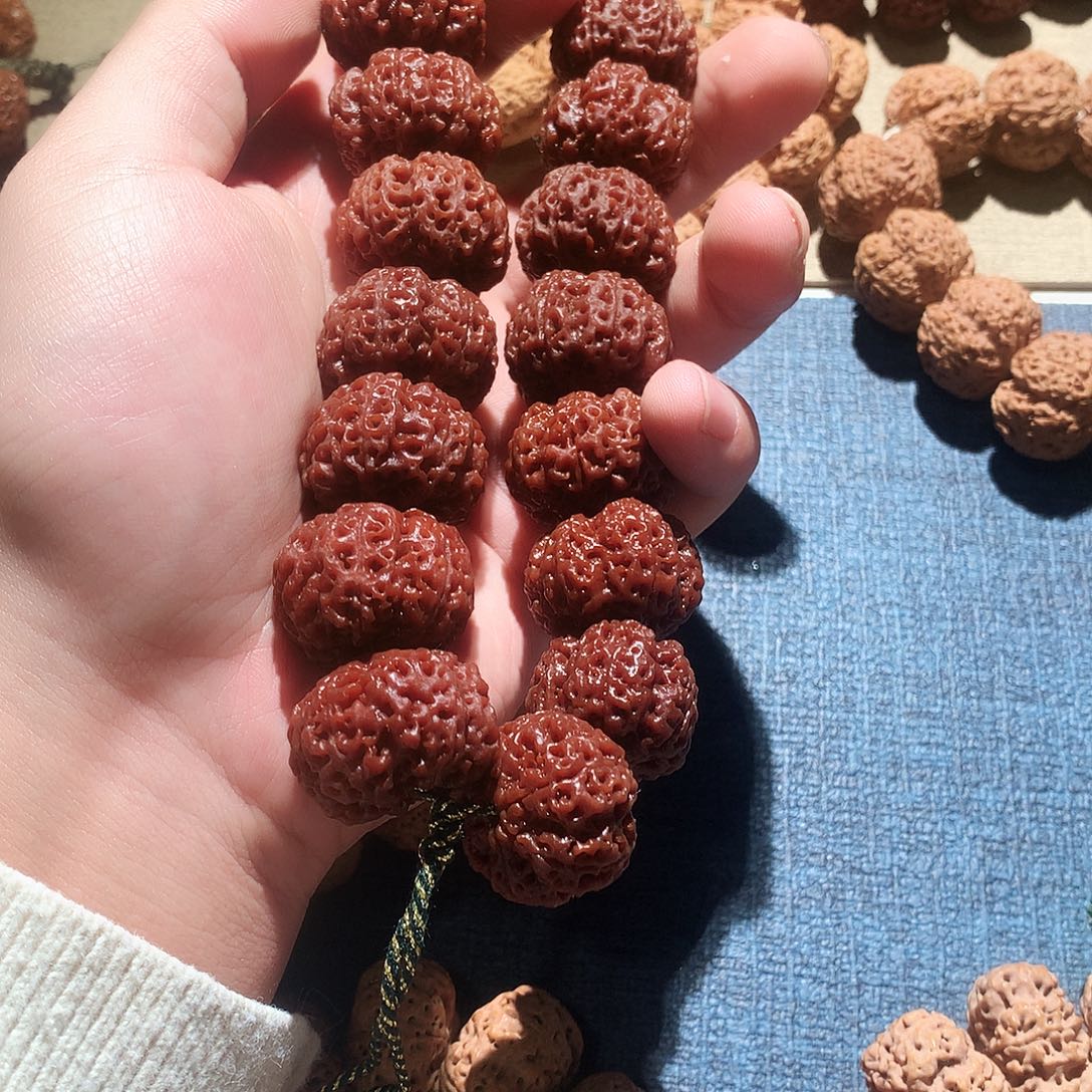 瞅***瞅金刚菩提吊坠龙牙