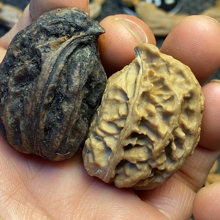 吊坠文玩核桃娜姐92