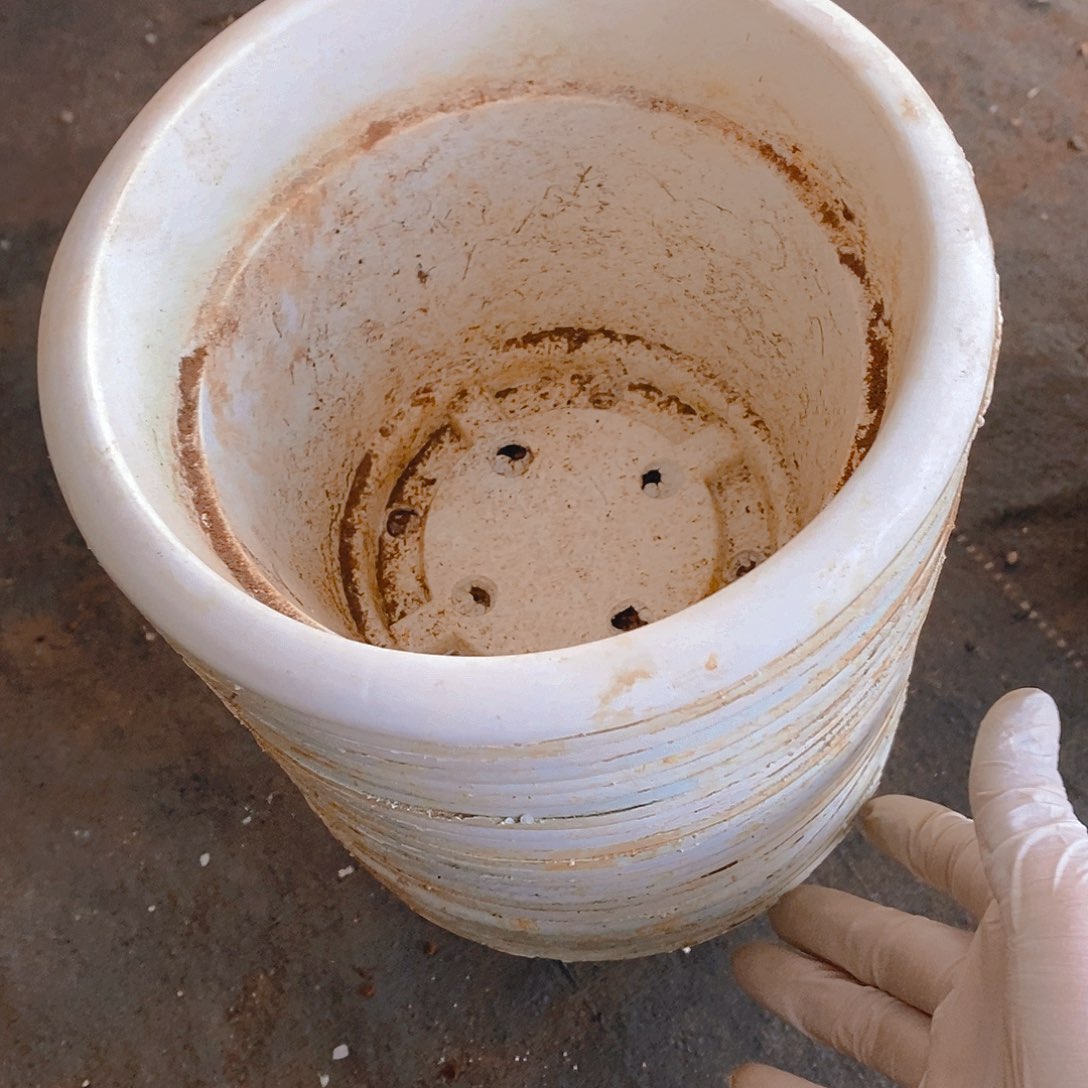 塑料旧180白圆盆加厚23个