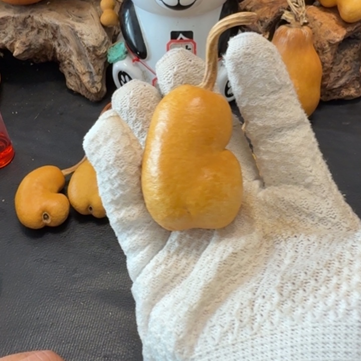 森***林坑666666666666666