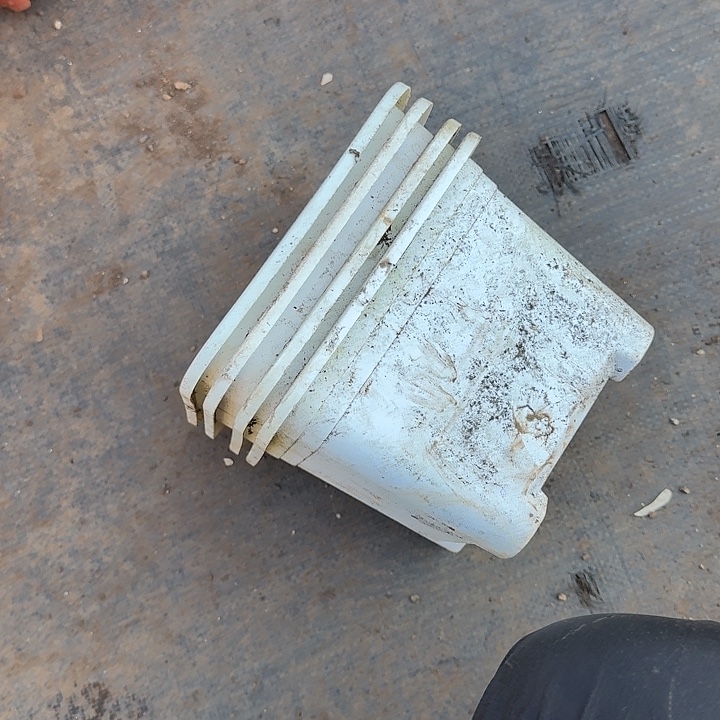 白方口径18高12发13个