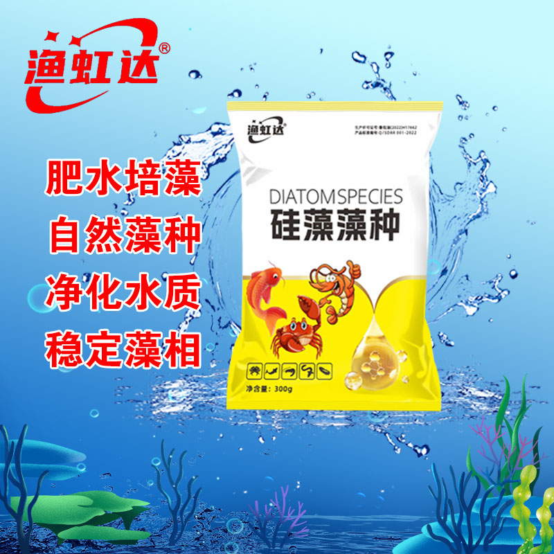 硅藻藻种培藻天然饵料肥水肥鱼适用水产养殖