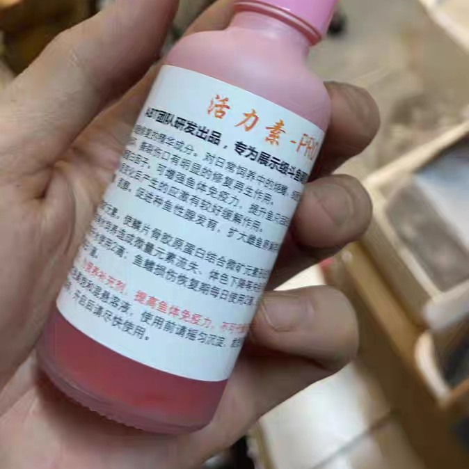 ABT比赛斗鱼团队出品，活力素浓缩50ml，修复受损鱼鳍提升鱼只活力