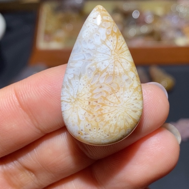 【闪购商品】未镶嵌珊瑚玉硅化玉