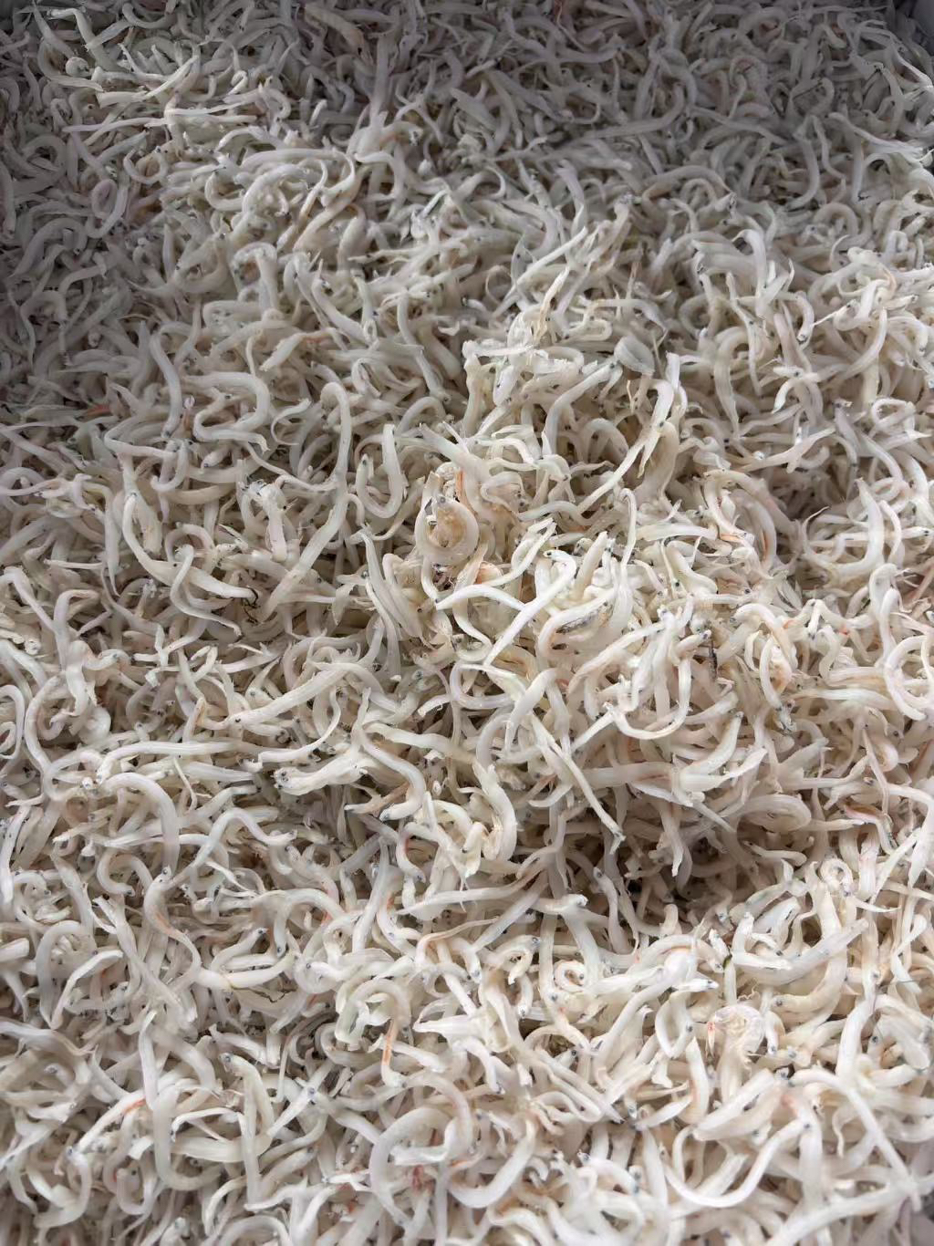 面条鱼 银鱼 煎蛋打汤