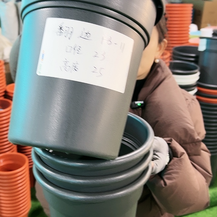 特价翻边口23高25黑色无托5只