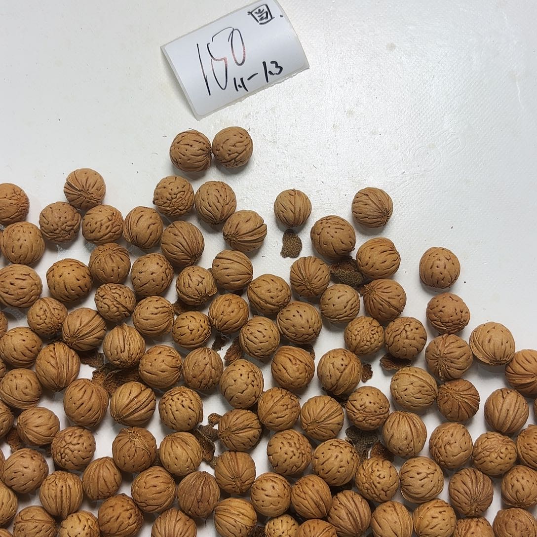 墨***缘吊坠桃核福利多多