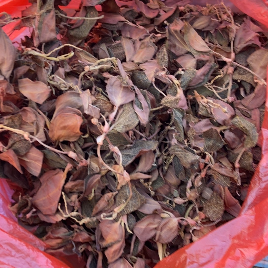 线莲5g500野山货金线莲