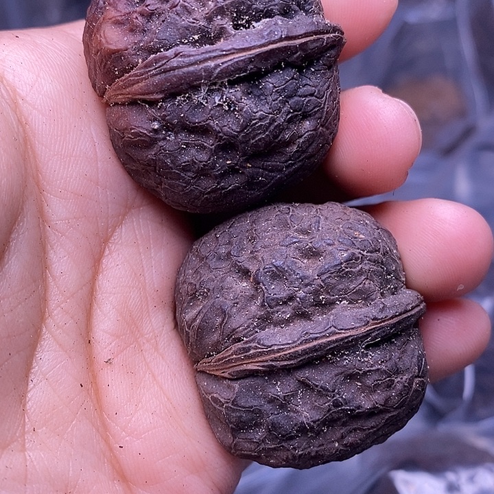 文玩核桃把件   8