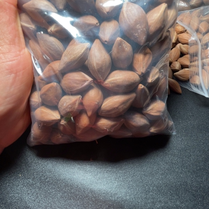 猪牙手串/手链我是