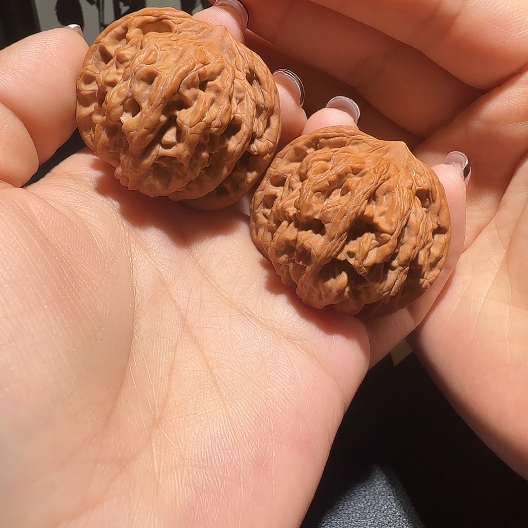 自***我核桃全品无修狮虎兽