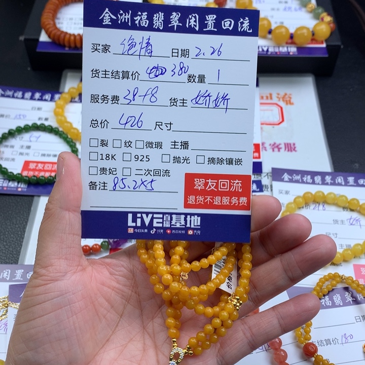 【闪购商品】琥珀颈饰银S925镶嵌绝***螂