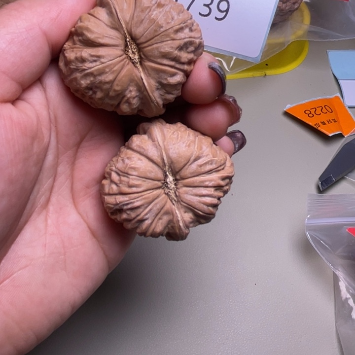 文玩核桃把件南瓜墩