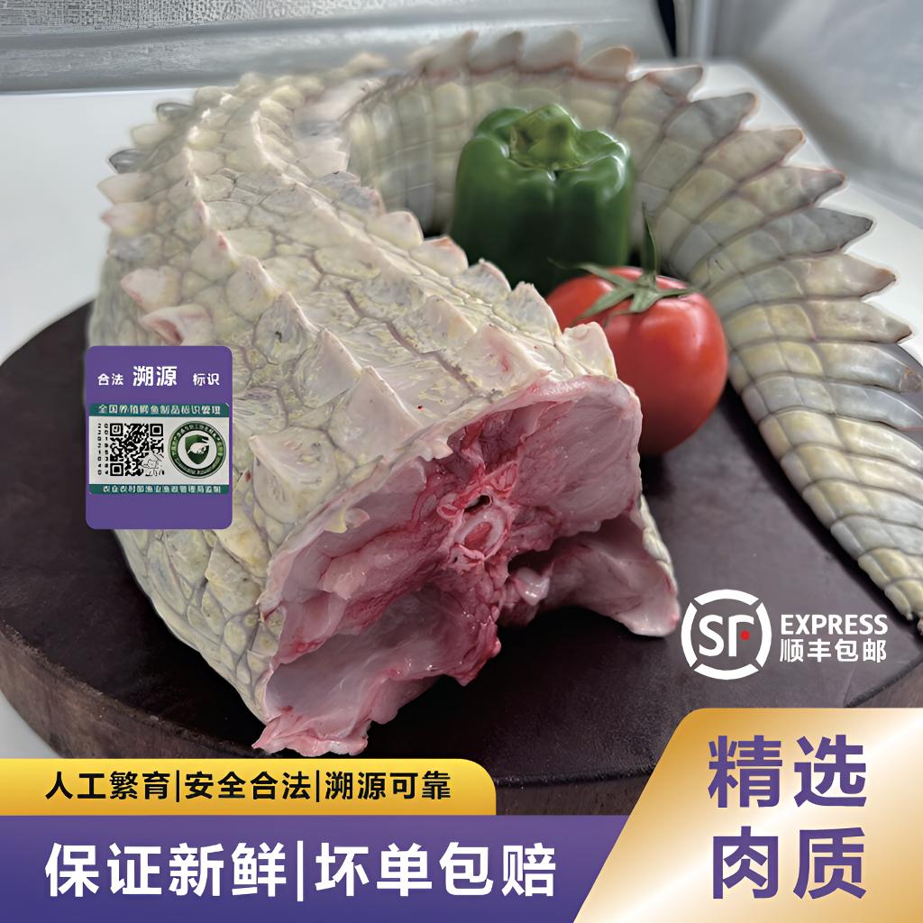 新鲜带皮人工养殖现杀鳄鱼尾可用于火锅烧烤煲汤清蒸
