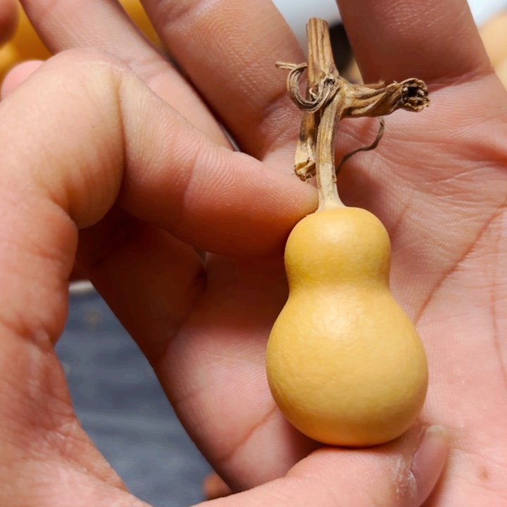 随****行888888888998988888