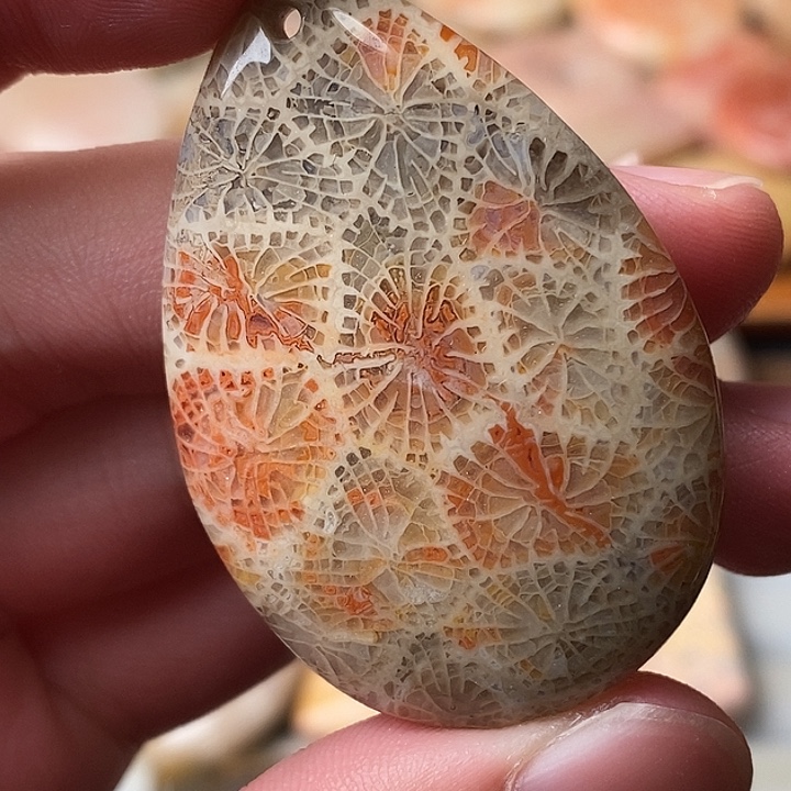 铁***硅化珊瑚未镶嵌颈饰