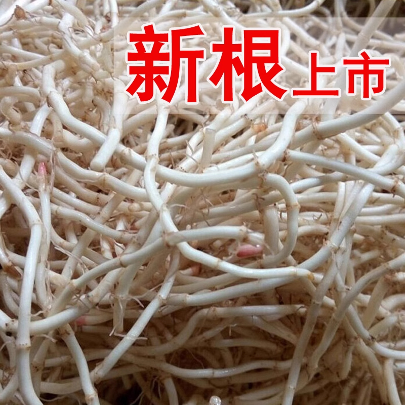  【商超品质】新根上市鱼腥草新鲜折耳根农家自种当季可凉拌蔬菜