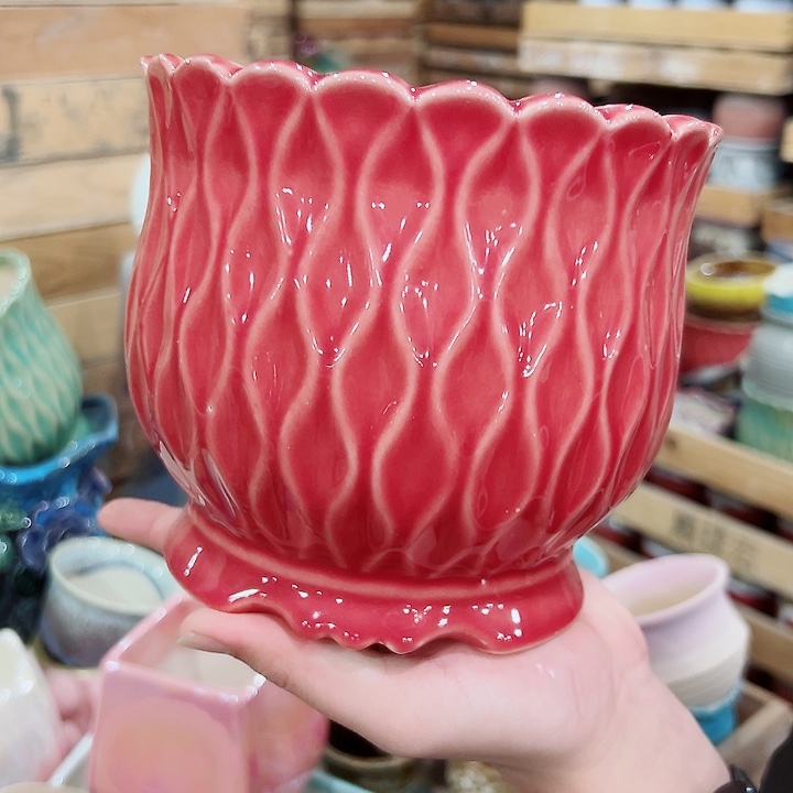 花盆有孔！订单凑满10米包由！