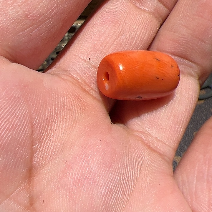 香榧木这是我最后