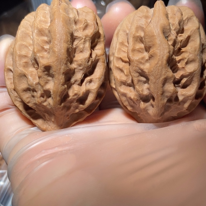 文玩核桃把件东北楸子小雪105 