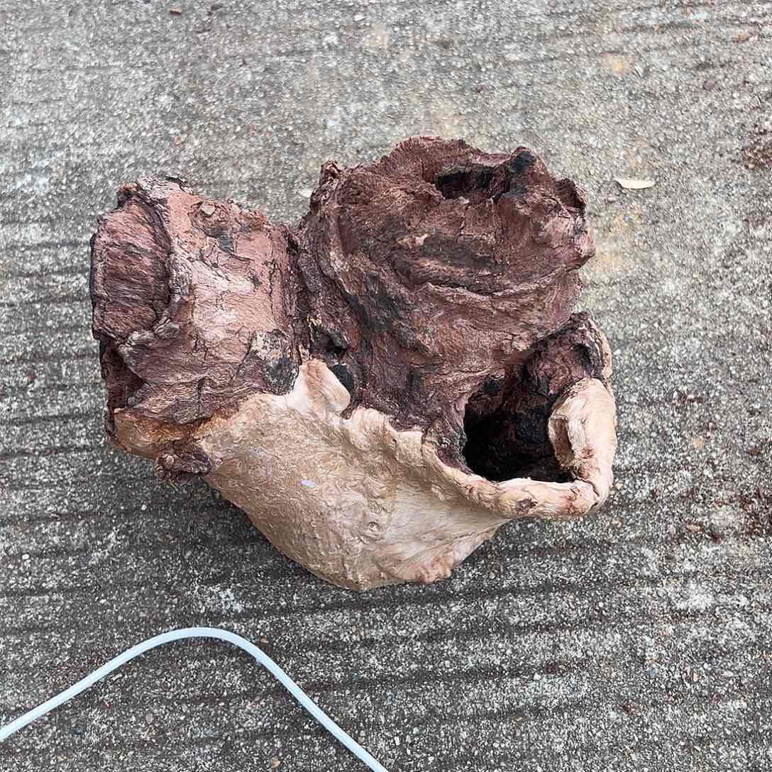 荔枝木别****3荔枝木毛料