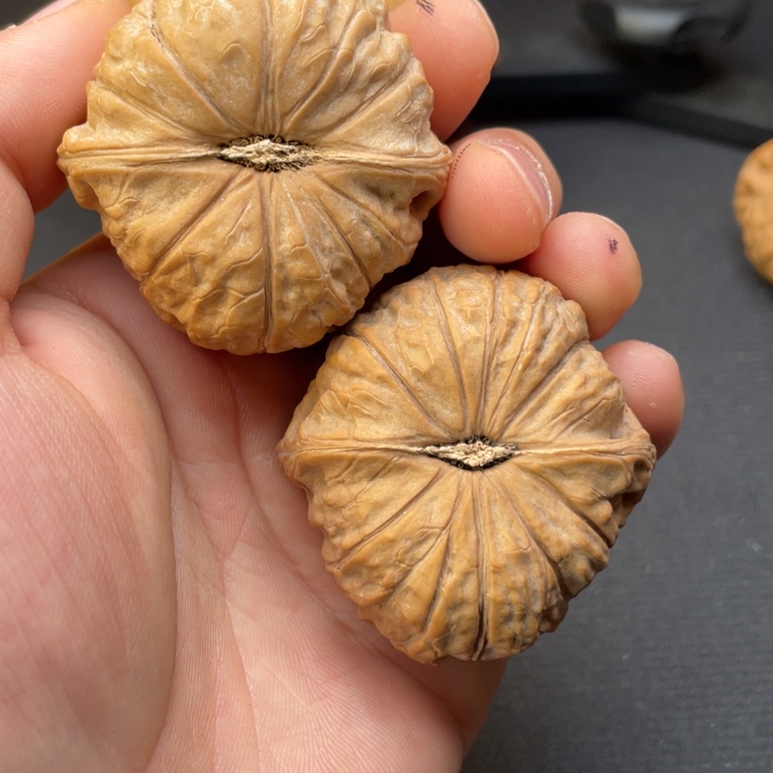 猛***u文玩核桃吊坠南瓜墩