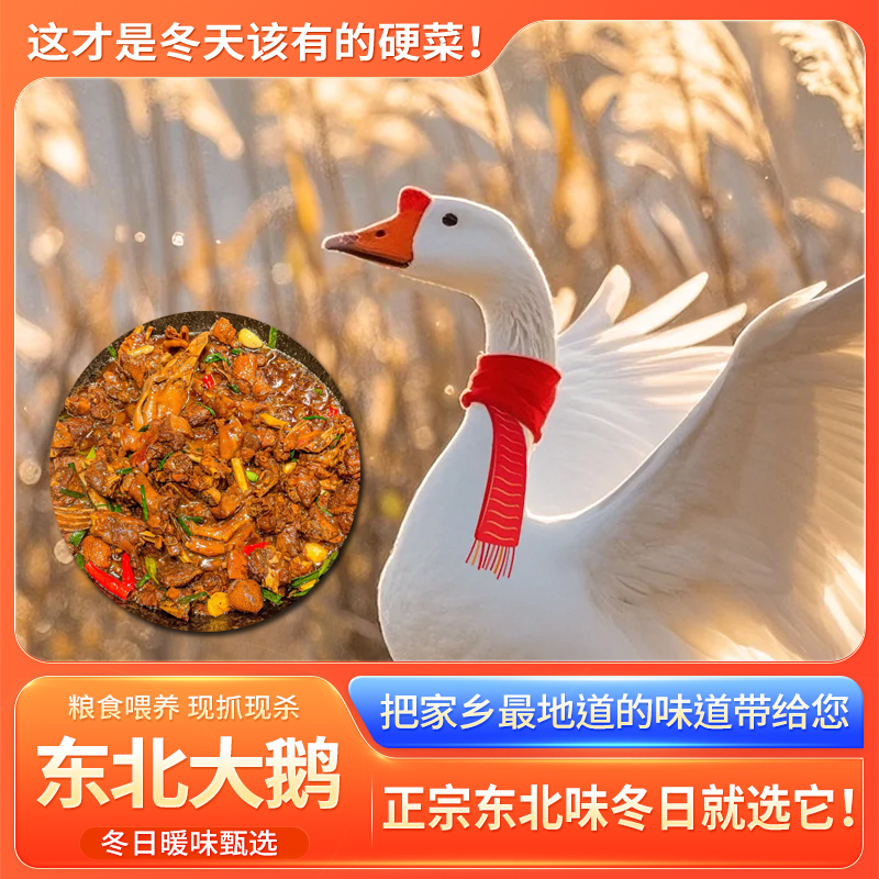 【顺丰包邮】东北 散养溜达大笨鹅（除毛带内脏）