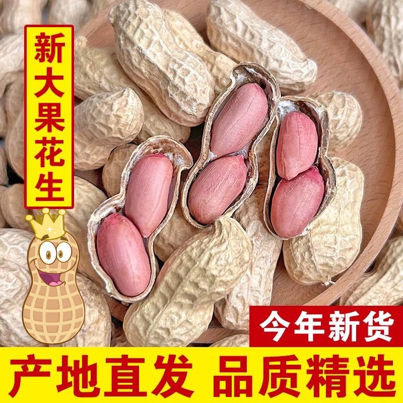 带壳生花生20斤晒干花生农家自种花生果薄壳花生种子级好花生